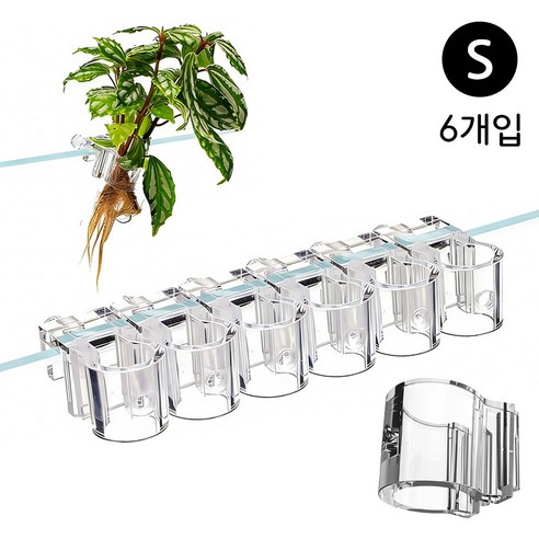 루베이 벽걸이 수경 재배 투명 거치대 시야를 가리지 않고 어항 풍경 만들기 수초/화분/재배, 투명색 6개