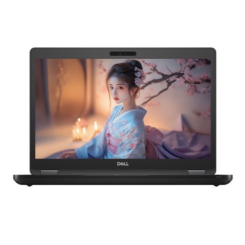 DELL 래티튜드 5490 i5-8350U/16G/초고속 NVMe SSD/UHD620/윈11 Pro 14인치 노트북, WIN11 Pro, 16GB, 256GB, 블랙