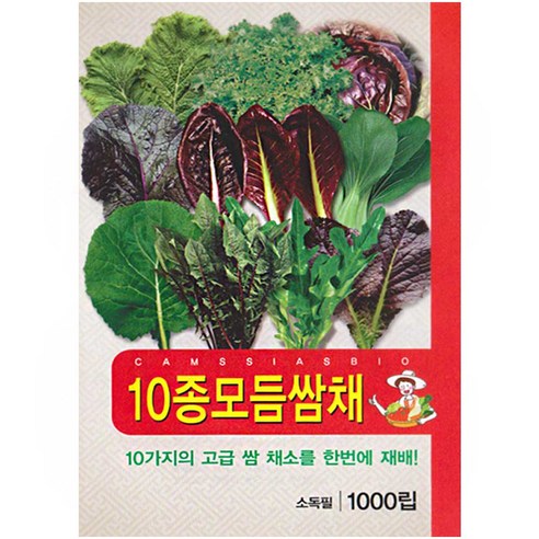 10종 모듬 쌈채소 씨앗, 1개