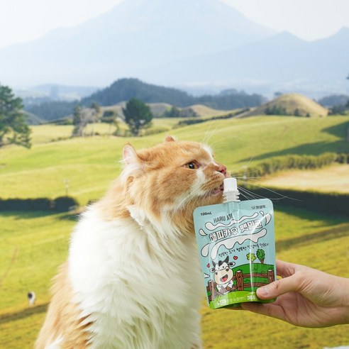 펫생각 뉴질랜드 청정 프리미엄 강아지 고양이 우유 무항생제 펫밀크 크랜베리 심장 신장 건강 행소행댕 이미지 4