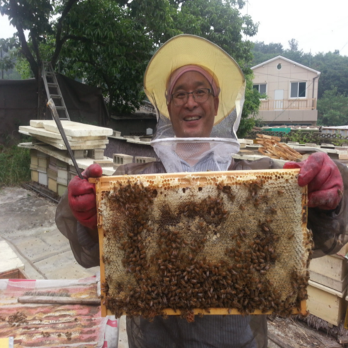 산지직송 100% 국내산 천연 야생화 벌집 꿀 200g, 1개 이미지 2