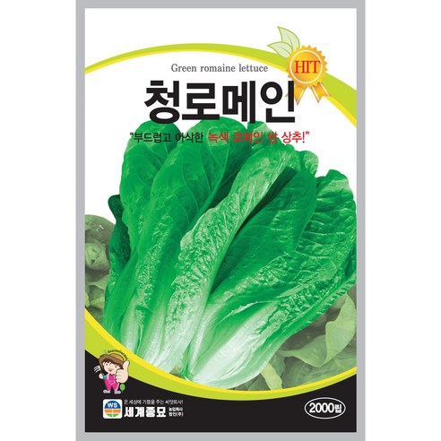 세계종묘 청로메인 씨앗 2000립, 1개