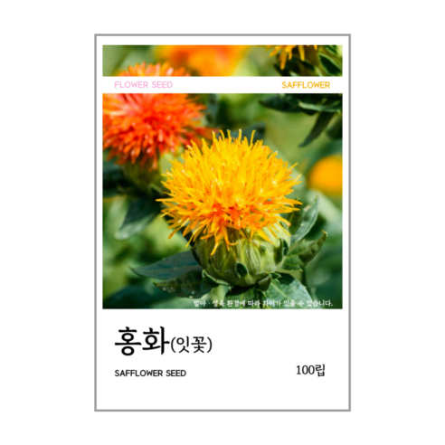 홍화씨(잇꽃) 씨앗 100립, 1개