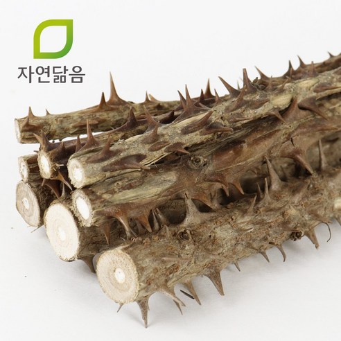 자연닮음 국산 엄나무 350g 내외 맛있게 먹은 솔직 후기 - 상품 이미지 3
