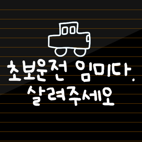 초보운전 스티커 귀여운 차량용 왕초보운전 차량 초보 이미지