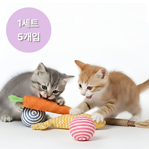 샤샤픽 이갈이 고양이 장난감, 1개, 5종