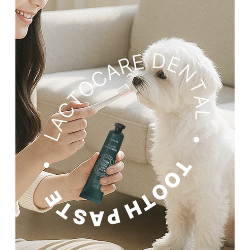 페피릴리프 유산균케어 치석제거 강아지 고양이 치약 그린애플향 이미지 2