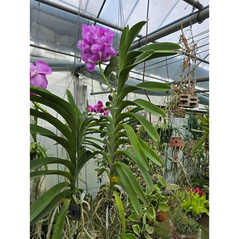 집안 공기를 바꿔주는 작은 행복