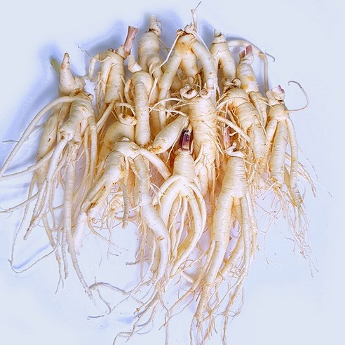 금산인삼 4년근 5년근 6년근 세척 무세척 수삼 가정용 실사용 후기 | 효과 있을까? - 상품 이미지 2