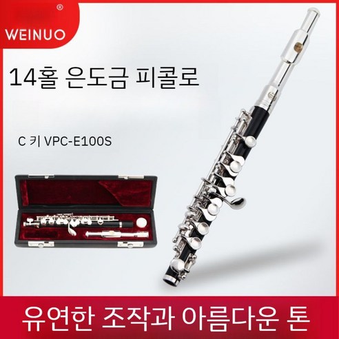도금 피콜로 악기 키 플릇 초보자용 목관 플룻 C키 전문 - 플룻 | 쿠팡
