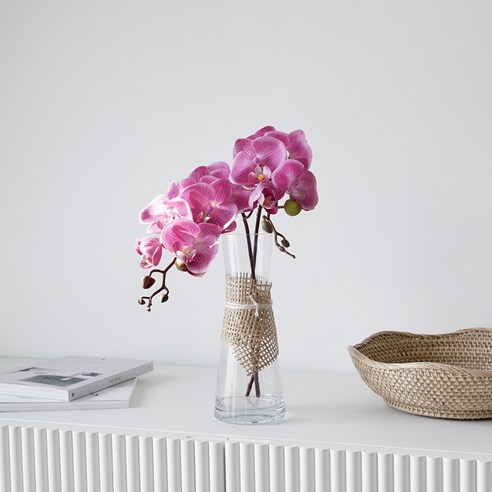 꽃을 꺾지 않아도 아름다움을 누리는 방법