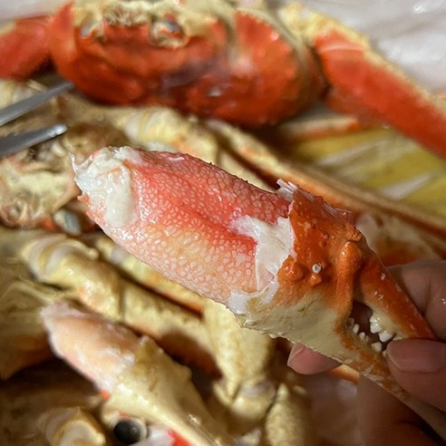 집에서 간편하게 즐기는 신선하고 맛있는 홍게