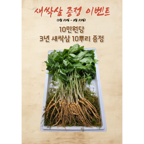 천생삼 산양산삼 소소 싹대삼 3년근 50g(35-50뿌리) 산삼 산양삼 장뇌삼 이미지 2