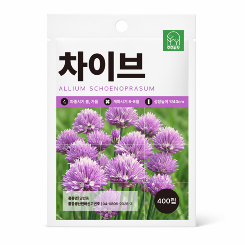 주주씨앗 차이브 씨앗 400립 챠이브 향신료 허브씨 종자 씨앗몰, 1개