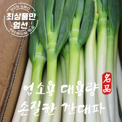 신신마트 업소용 대용량 대파 깐대파, 10kg, 1개 - 대파 | 쿠팡
