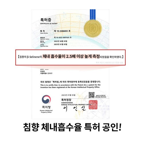 조선비책 조선황림 침향환 공진단 상자 300g, 1박스 이미지 3