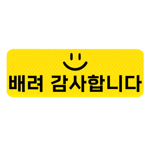 데이모노 잘보이는 초보운전 반사 자석 스티커, 1개, 배려
