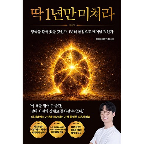 딱 1년만 미쳐라 책 - 자기계발 동기부여 부자되는법 평범한 사람의 인생을 180도 역전시키는 단 하나의 해답 (리치파카 강연주)