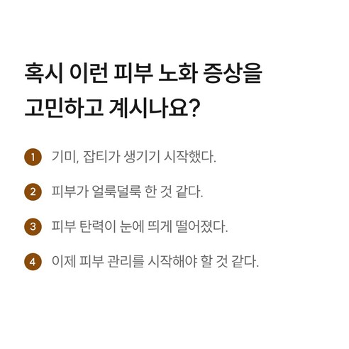 와이즐리 비타민 CE 시너지 페룰릭 앰플 이미지 4