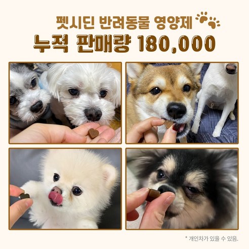 펫시딘 강아지 프리미엄 영양제 솔직 후기 | 실제 사용자 리뷰 총정리 - 상품 이미지 4