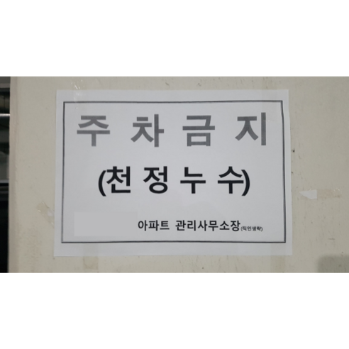 자동차 시멘트물 석회물 백화 제거 제거제 클리너 차량 외부 손상없는 실사용 후기 | 효과 있을까? - 상품 이미지 3