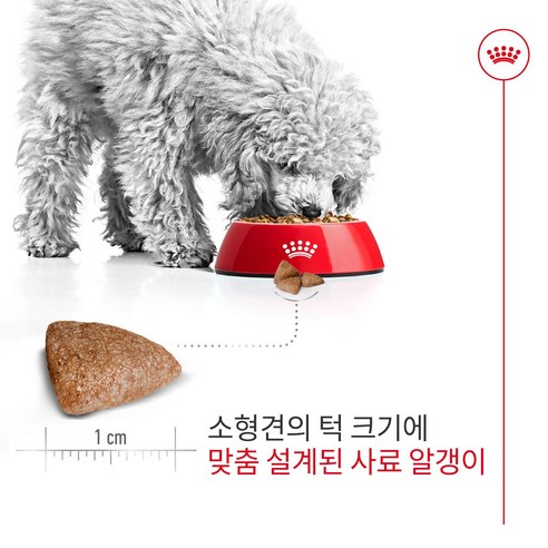 로얄캐닌 강아지사료 미니 인도어 어덜트 건식 사료 솔직 후기 | 실제 사용자 리뷰 총정리 - 상품 이미지 3