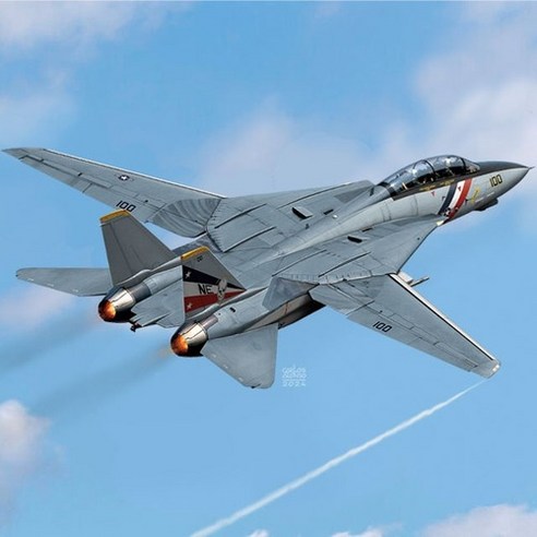아카데미과학 12590 미해군 F-14D VF-2 바운티헌터즈, 1개
