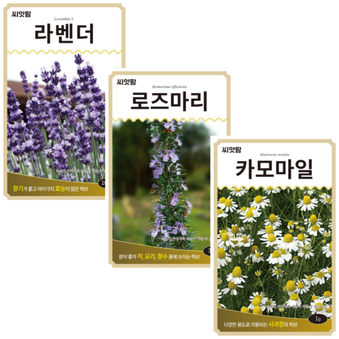 허브씨앗 3종 라벤더+로즈마리+캐모마일 요리 카모마일 라벤다 향신료 허브 씨앗 키우기, 1개