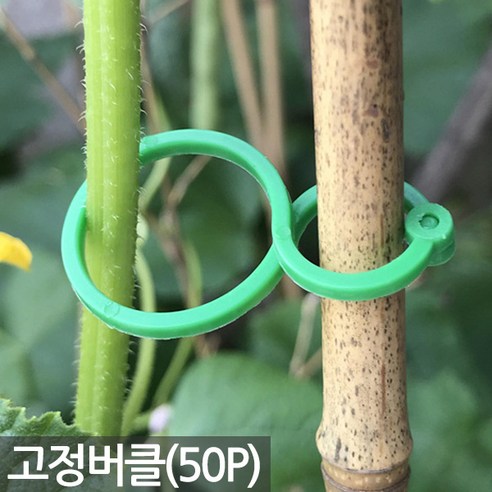 세인화분 8자 식물 고정 클립 50P - 화분 줄기 핀 끈 집게 버클, 50개, 8자고정버클