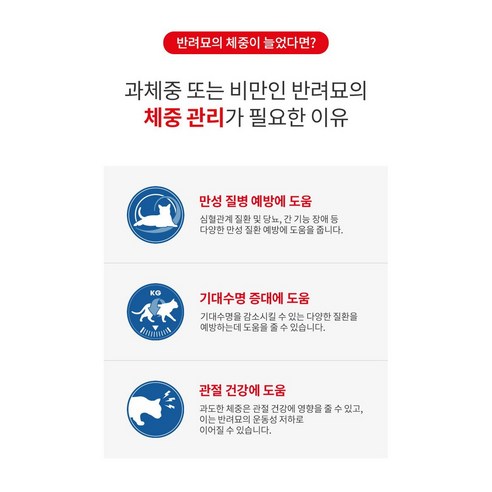 로얄캐닌 고양이사료 라이트웨이트 건식 3kg 체중관리 +사은품 건사료 100G 랜덤 증정 이미지 3