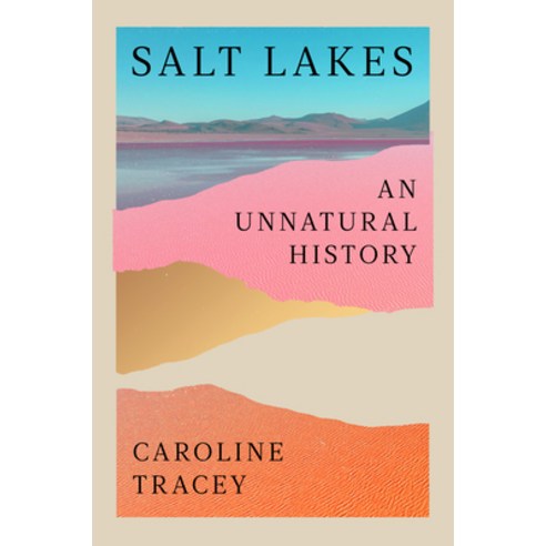 (영문도서)Salt Lakes: An Unnatural History Hardcover, W. W. Norton & Company, English, 9781324089025