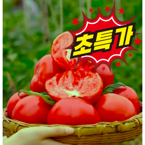 [최저가도전] 국내산 프리미엄 완숙토마토 산지직송, 10kg, 1박스