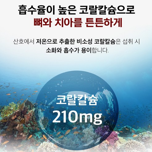 인사 프로폴리스 칼슘 시림 통증 내려앉음 부었을때 면역력 한번에 먹는 영양제 고흡수 약국 뼈 구강 잇몸 건강 케어 60정, 2개 이미지 4