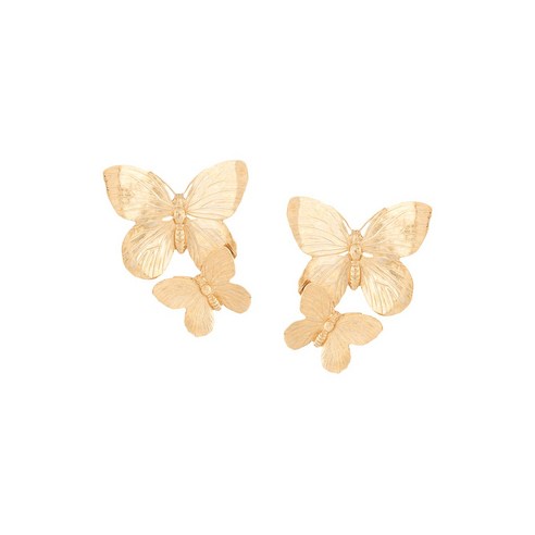 매일 아침, 나의 하루를 빛내는 특별한 순간 조이아이어바나