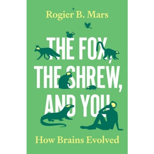 (영문도서)The Fox the Shrew and You: How Brains Evolved Hardcover, Princeton University Press, English, 9780691238920