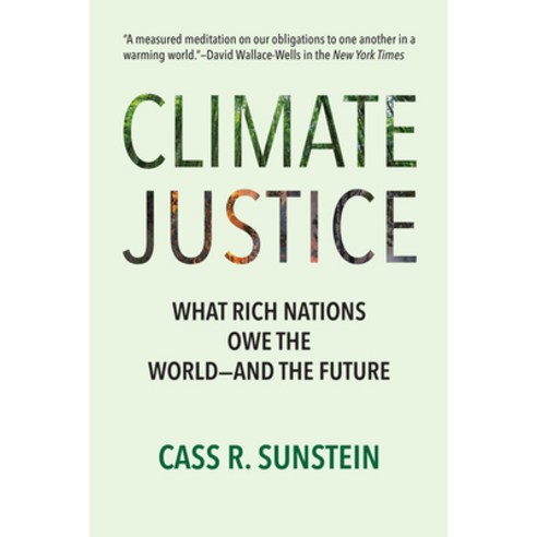 (영문도서)Climate Justice: What Rich Nations Owe the World--And the Future Paperback, MIT Press, English, 9780262053976