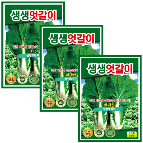 생생 엇갈이씨앗 (2000립x3) 국내산 얼갈이 배추씨앗 김치 채소씨앗, 3개