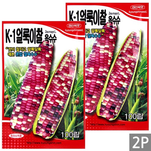 세인화분 K-1 국산 얼룩이 찰옥수수 100립 - 옥수수 씨 씨앗, 2개