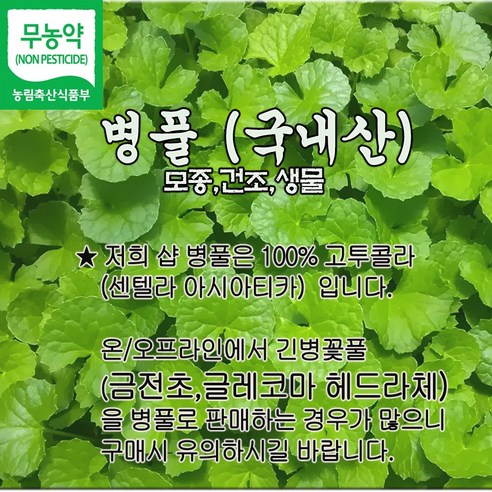 병풀 호랑이풀 생병풀 건조병풀 병풀모종 국내산 호랑이풀 센텔라아시아티카 마데카식산 - 기타채소 | 쿠팡