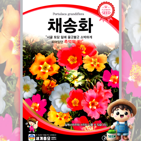 채송화 2000립 꽃씨 씨앗 종자 세계종묘, 1개