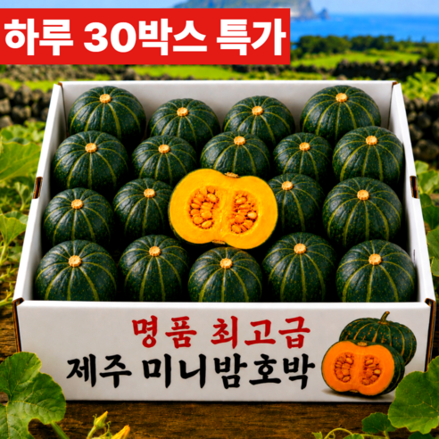[백화점납품] 최대17brix 역대급 제주 정품 미니 밤호박 보우짱, 1박스, 3kg (정품)