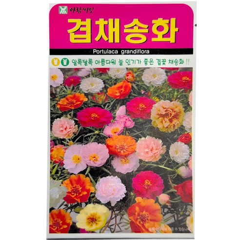 아람종묘 겹채송화 씨앗, 1개