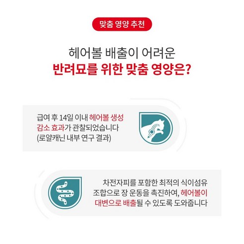 로얄캐닌 어덜트 고양이 헤어볼 케어 건식사료 솔직 후기 | 실제 사용자 리뷰 총정리 - 상품 이미지 3