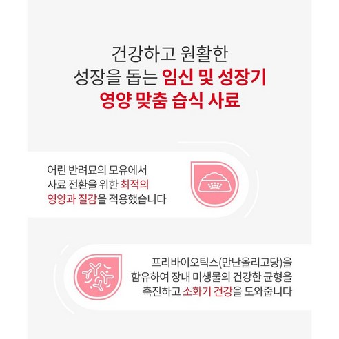 생후 1개월 2개월 이상 아기고양이 새끼고양이 이유식 습식 사료 이미지 4