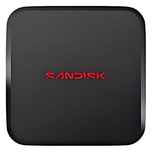 샌디스크 엘르 외장 SSD, 1TB