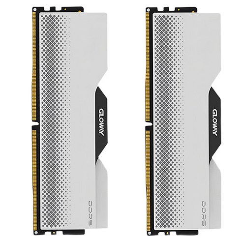 글로웨이 DDR5 데스크탑 히트싱크 램 실버 16GB GW6800N16G-SA 2개입, 1개
