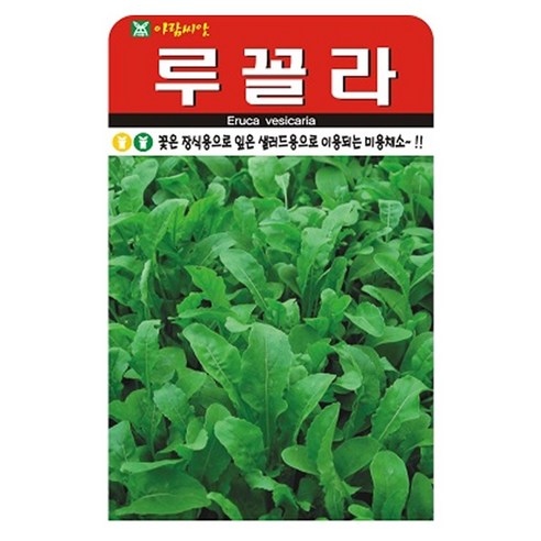 아람종묘 루꼴라 씨앗 2000립, 1개