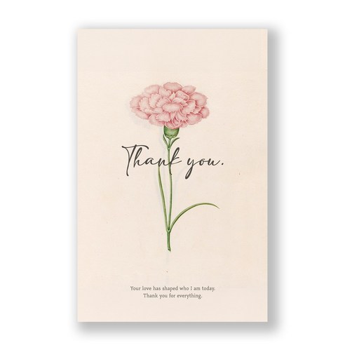 메세지 카드 엽서, 30개, 핑크 카네이션 Thank you