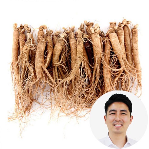 인삼수삼 대삼계삼 25뿌리내외 750g 삼계탕용 대명이네인삼 실사용 후기 | 효과 있을까? 썸네일