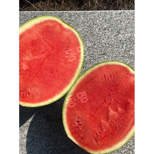 씨 걱정 없이 즐기는 입안 가득 달콤함